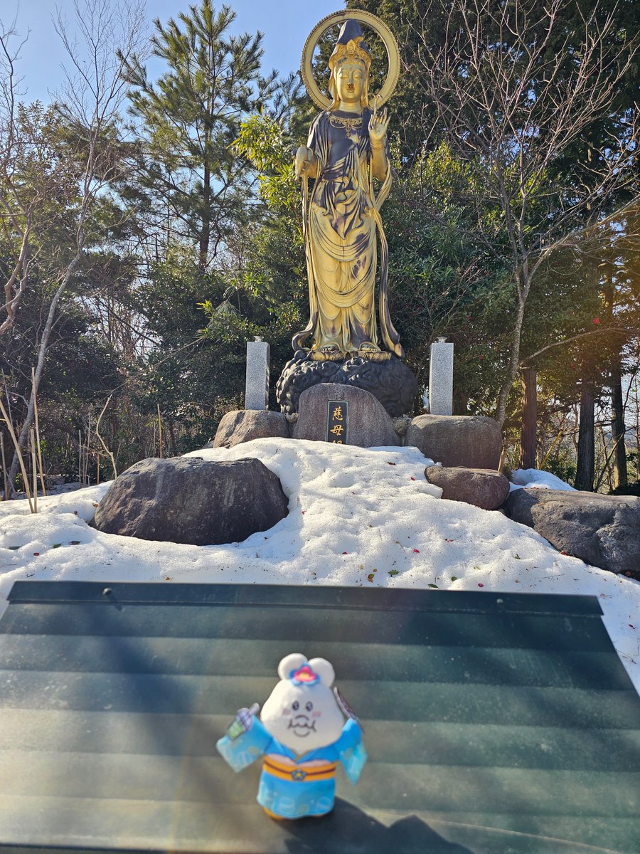 0802opa's tweet photo. 城崎はまだ雪が残ってまちた💦
まだ寒いでちゅが今日は天気が良くて、日中は暖かかったでちゅよ🐰✨✨ https://t.co/1za0GkvPx7