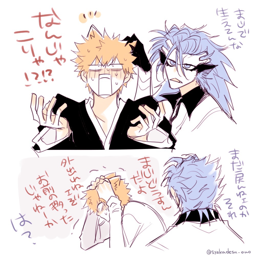 猫の日🍓と🐆