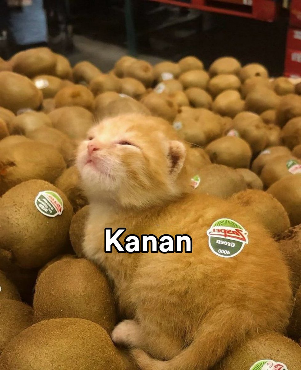 sabo (@plisitin) on Twitter photo 