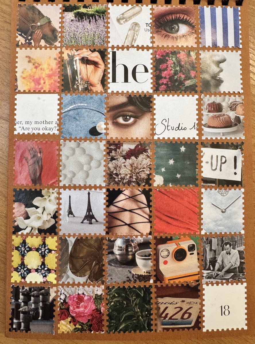 Київська світлярка tweet media