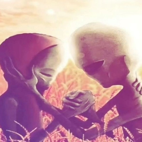 ✿ (@cortizst) on Twitter photo 