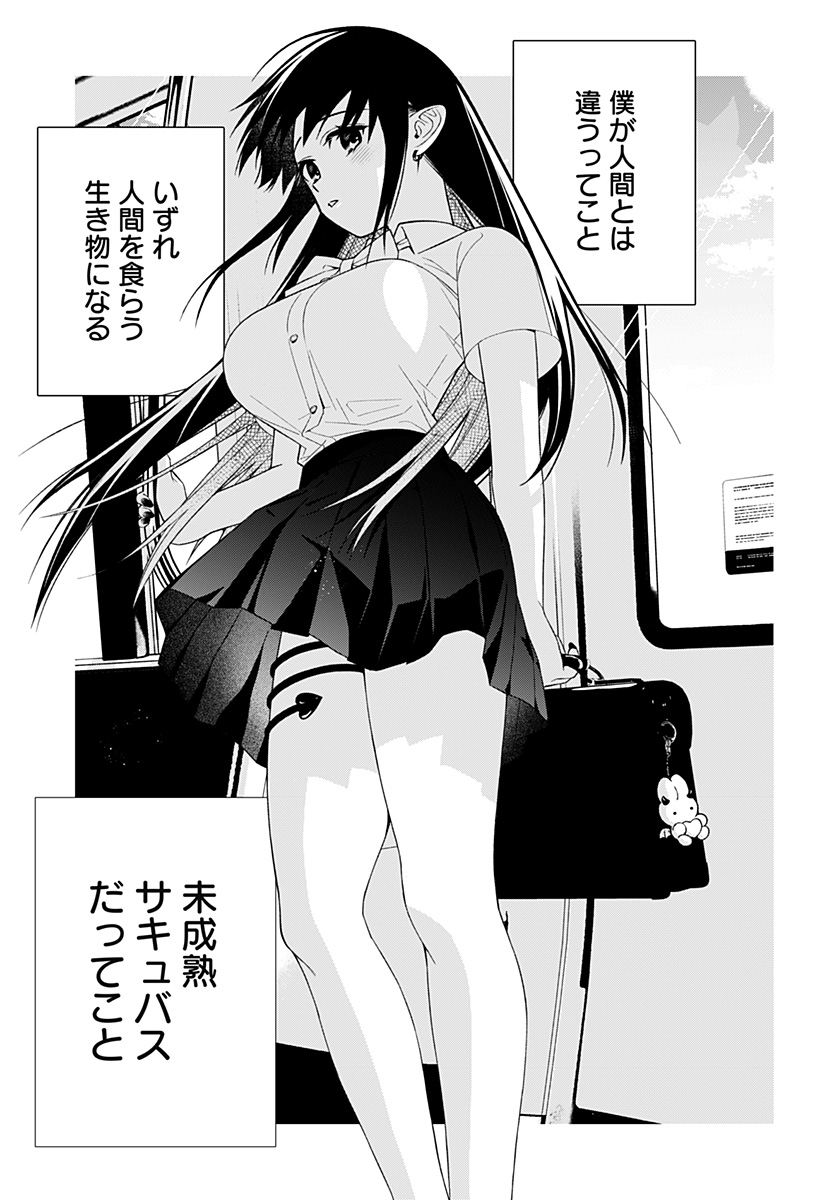 (5/5) 
