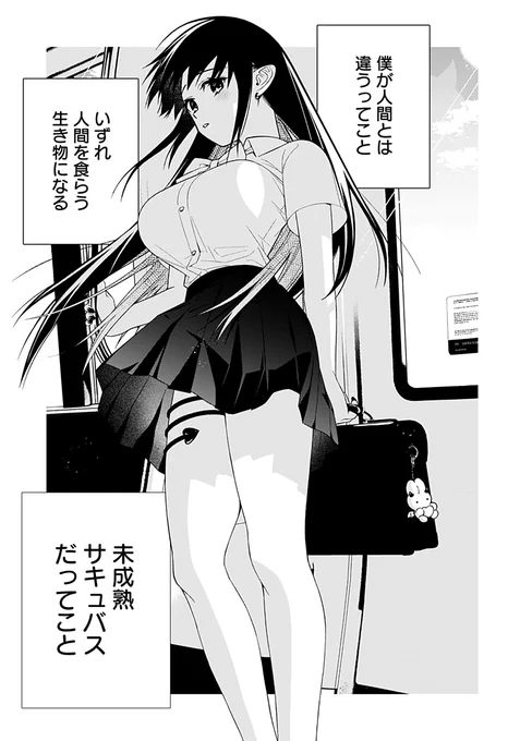 (5/5) 