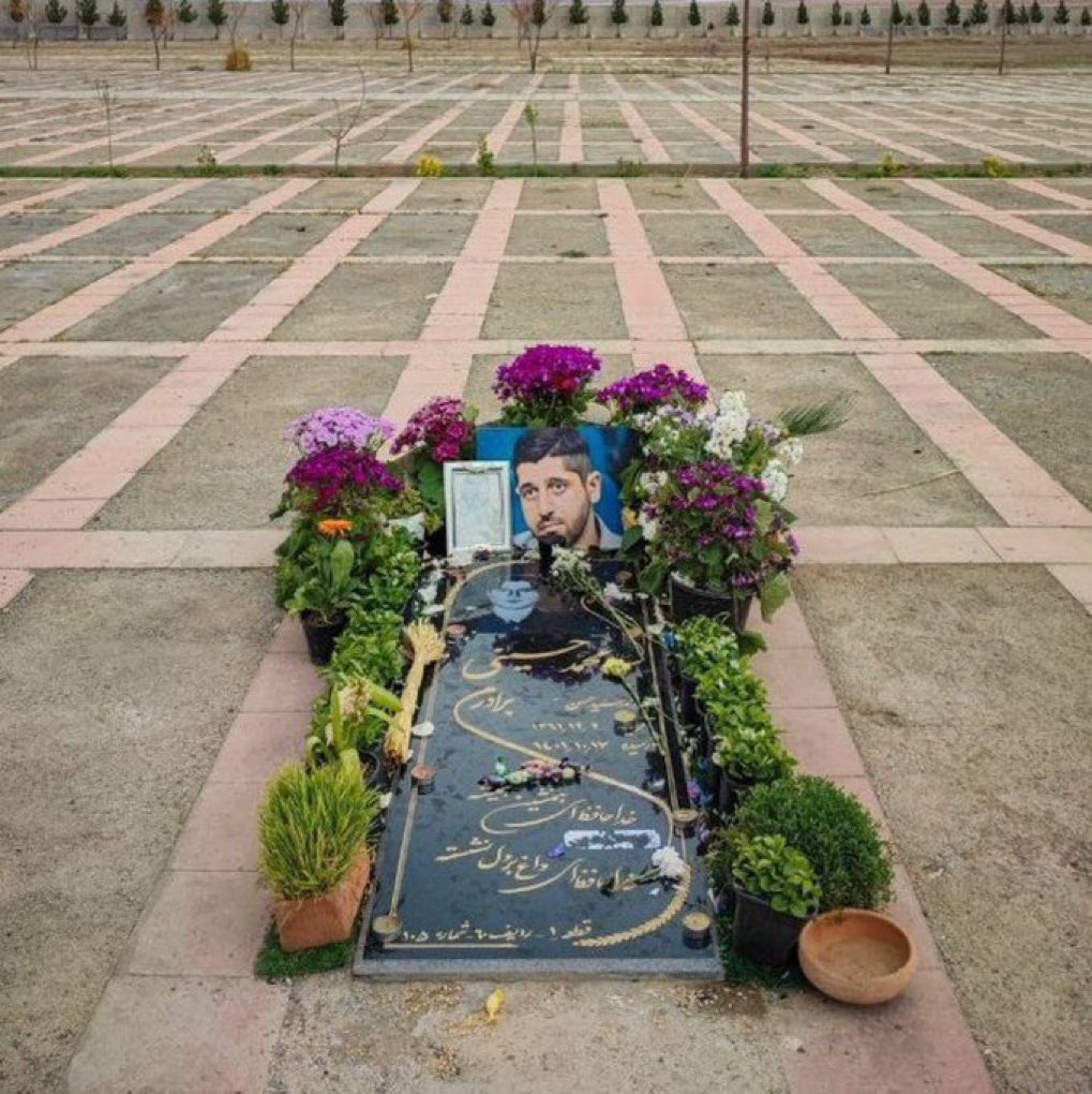 butterfly tweet media