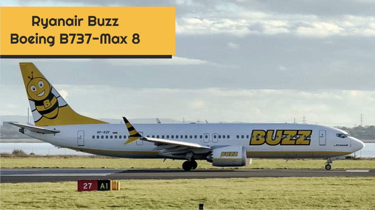 Livin' It Large Aviation tweet media