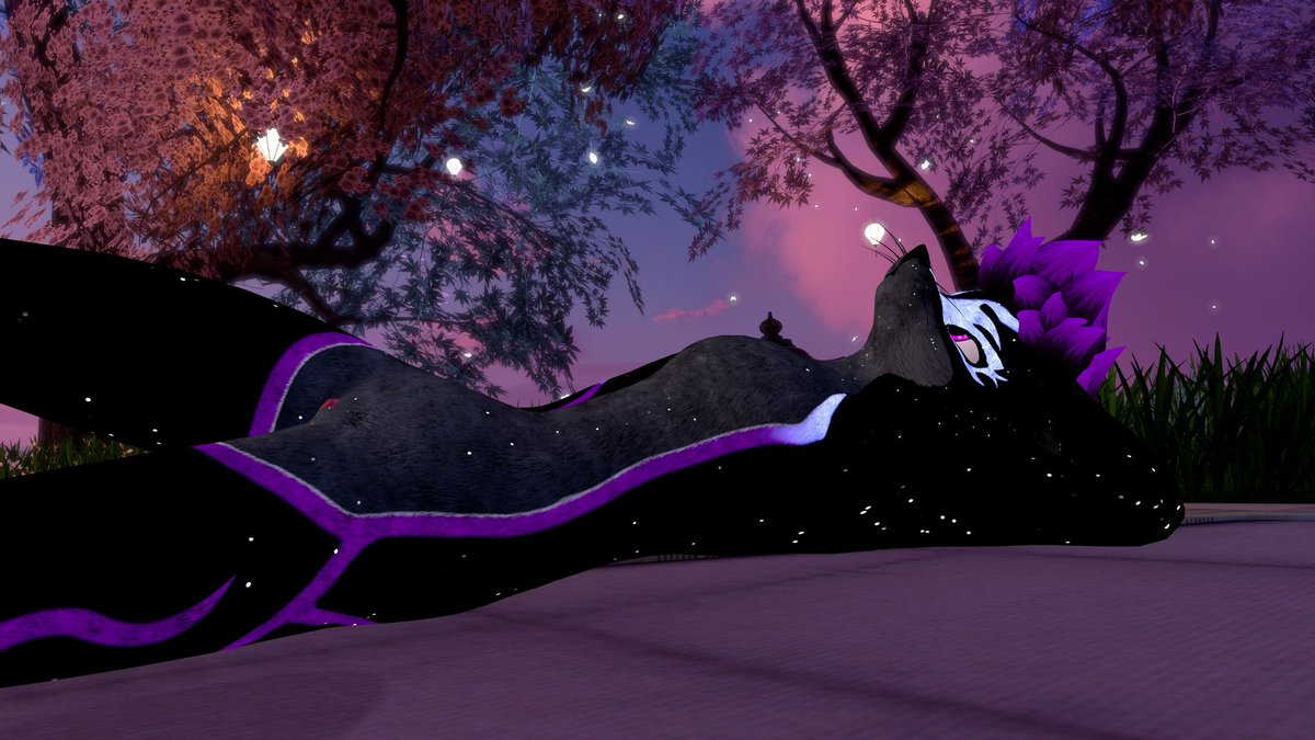 Dakota-After Dark➡️ Megaplex tweet media