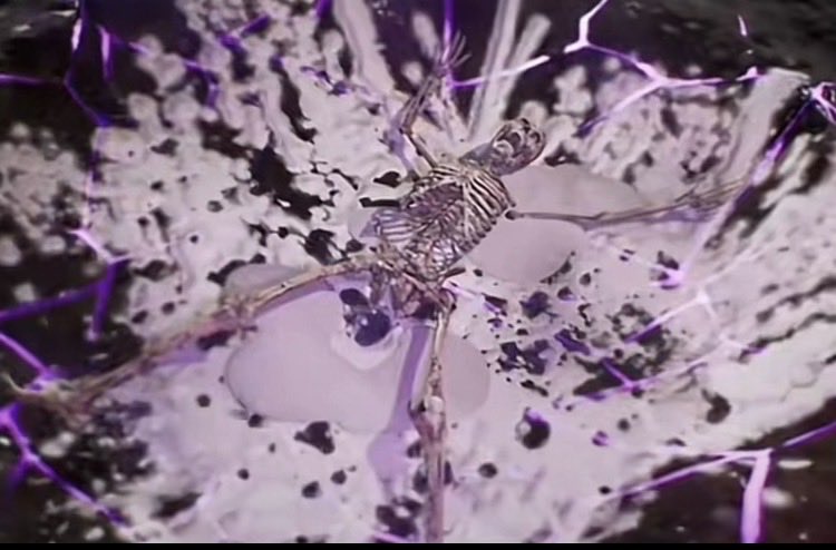 Nba, Cs2 Clickbaiter tweet media