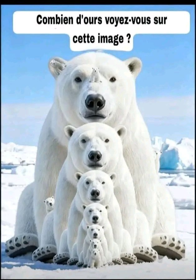 Jacob Shukuru tweet media