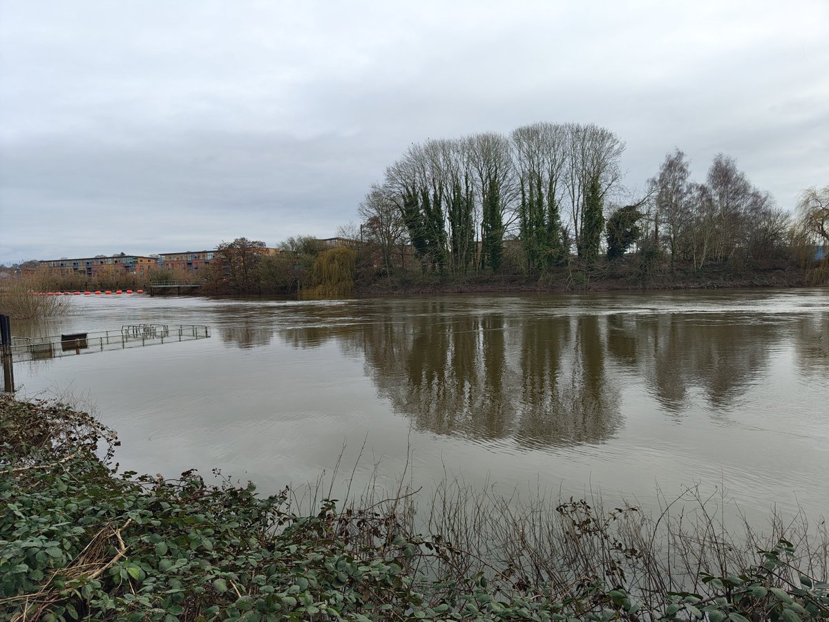 John Murdoch tweet media