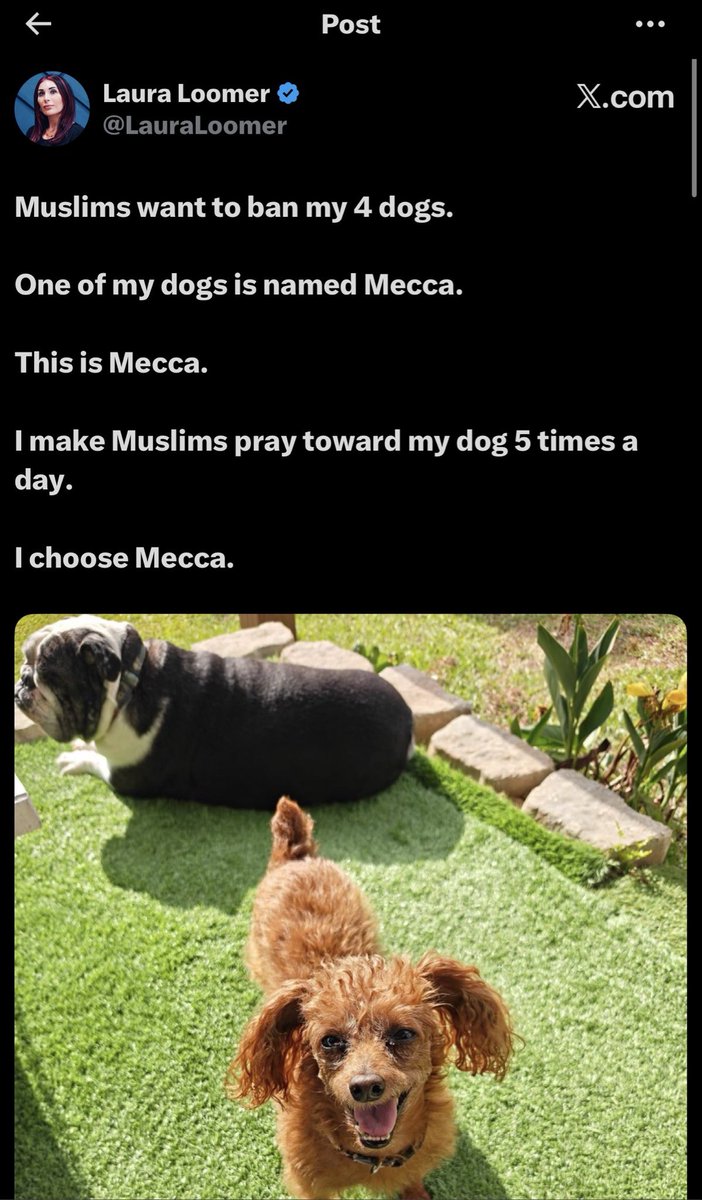 Laura Loomer tweet media