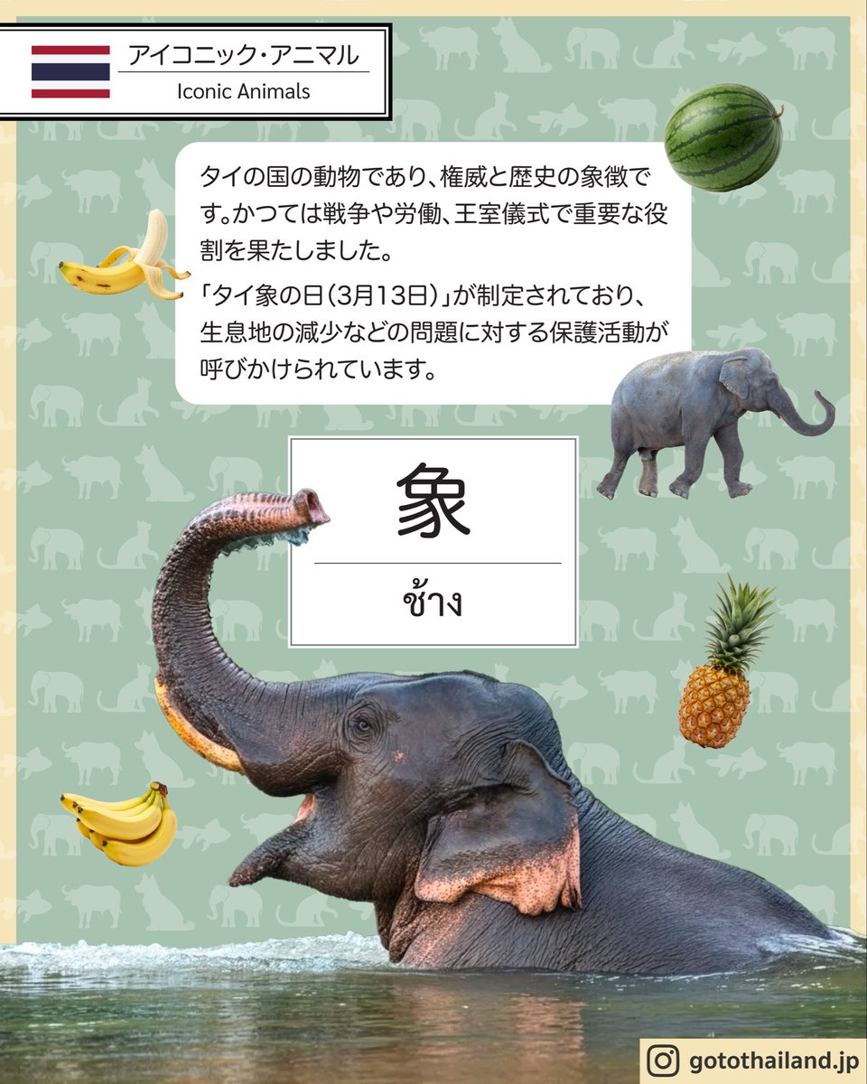 Royal Thai Embassy in Tokyo tweet media