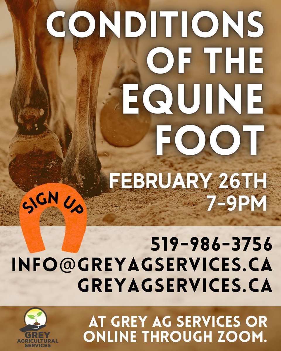 GreyAgServices tweet media