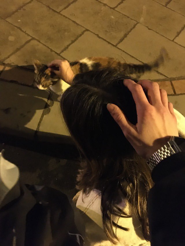 . (@deityofnightt) on Twitter photo 