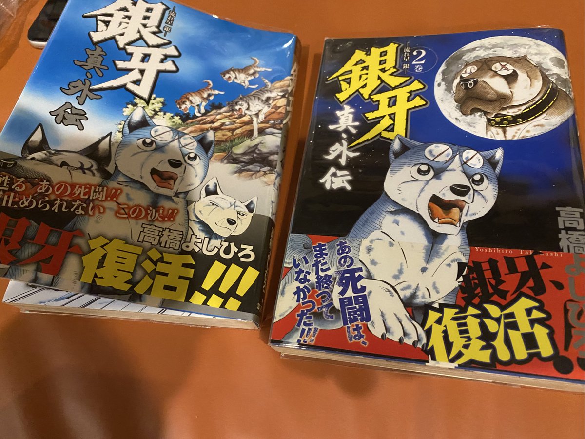 高橋よしひろ先生　手ぬぐい 🌌高橋よしひろ先生新連載🌌銀牙伝説レクイエム🌌 (@katukatu210