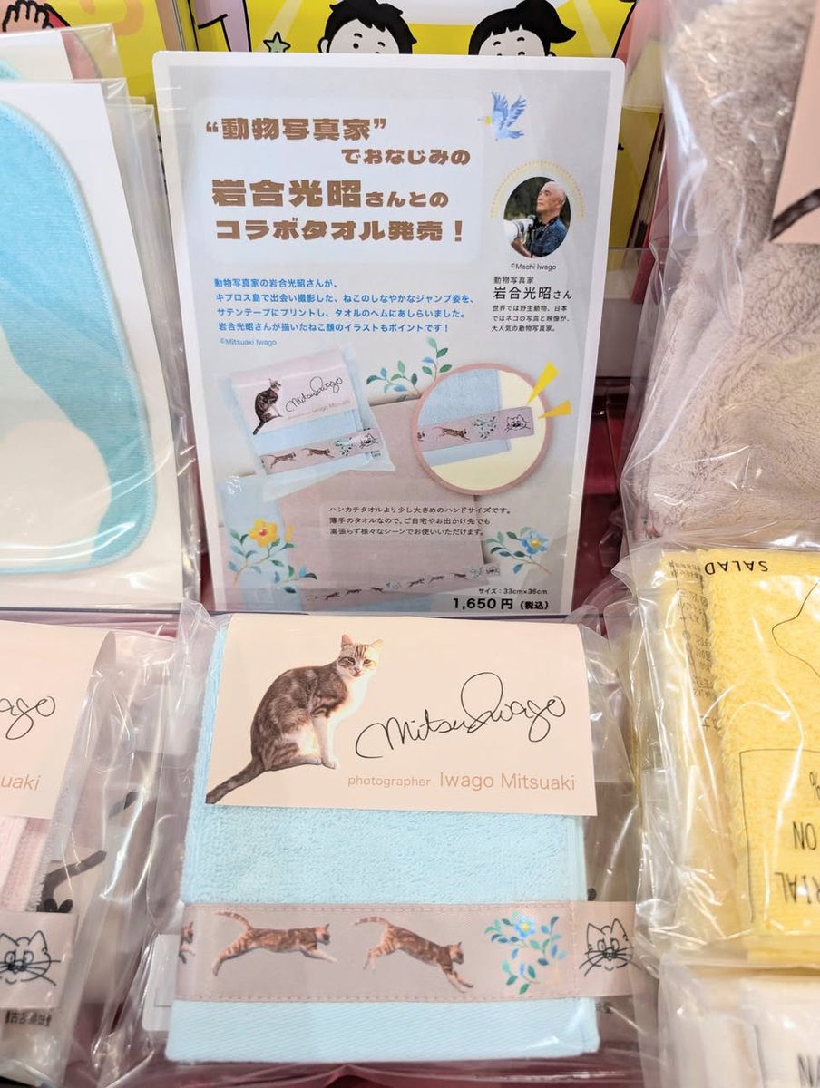 【#カルコス扶桑店】
イベント情報
#KBツヅキ #岩合光昭
「岩合光昭コラボタオル」イベント開催中です！
動物写真家の岩合光昭さんと、紡績メーカーKBツヅキによるコラボタオルシリーズが登場しました！
可愛くて実用性抜群の商品です！