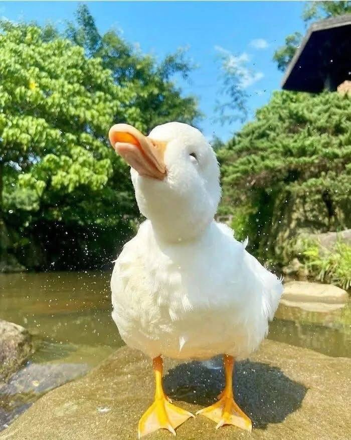 Put away insecurity; be courageous; step in faith; walk in confidence. #leadership #quote #HR