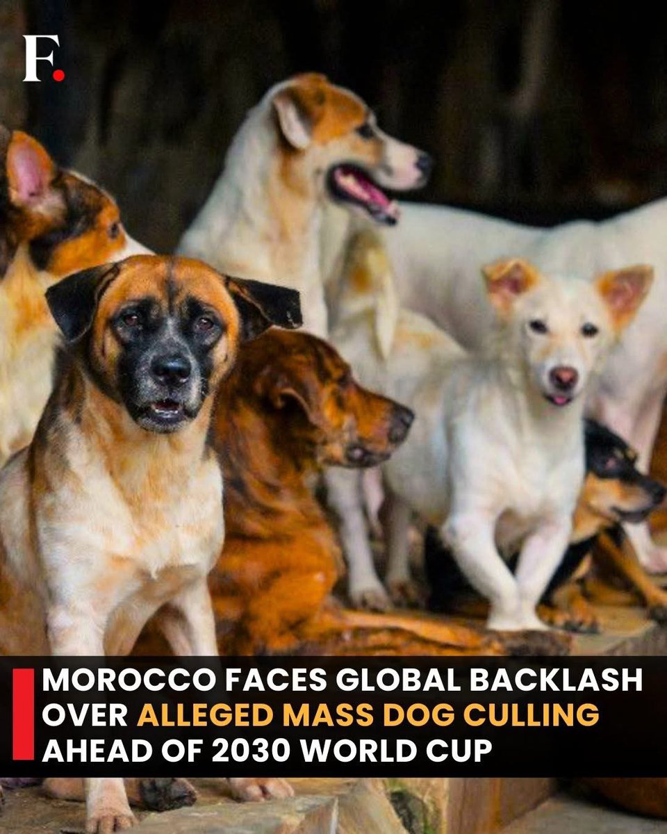 PROTECT ALL WILDLIFE tweet media