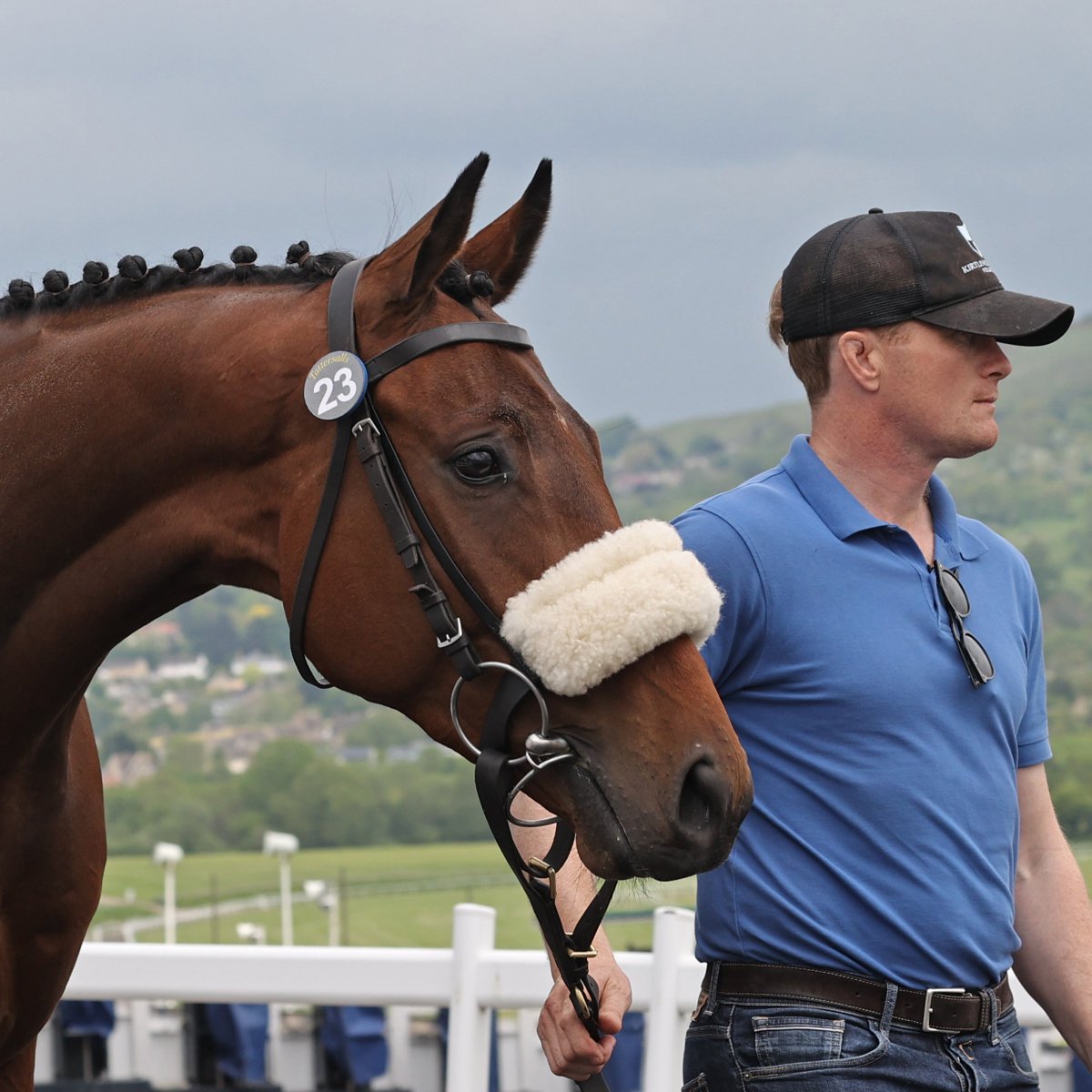 Tattersalls Cheltenham tweet media