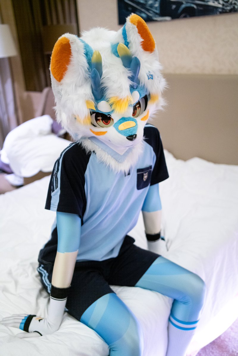 shinichi_furry's tweet image. RT @SoDaDoS1585: #Fursuit 

*只是乖乖坐着