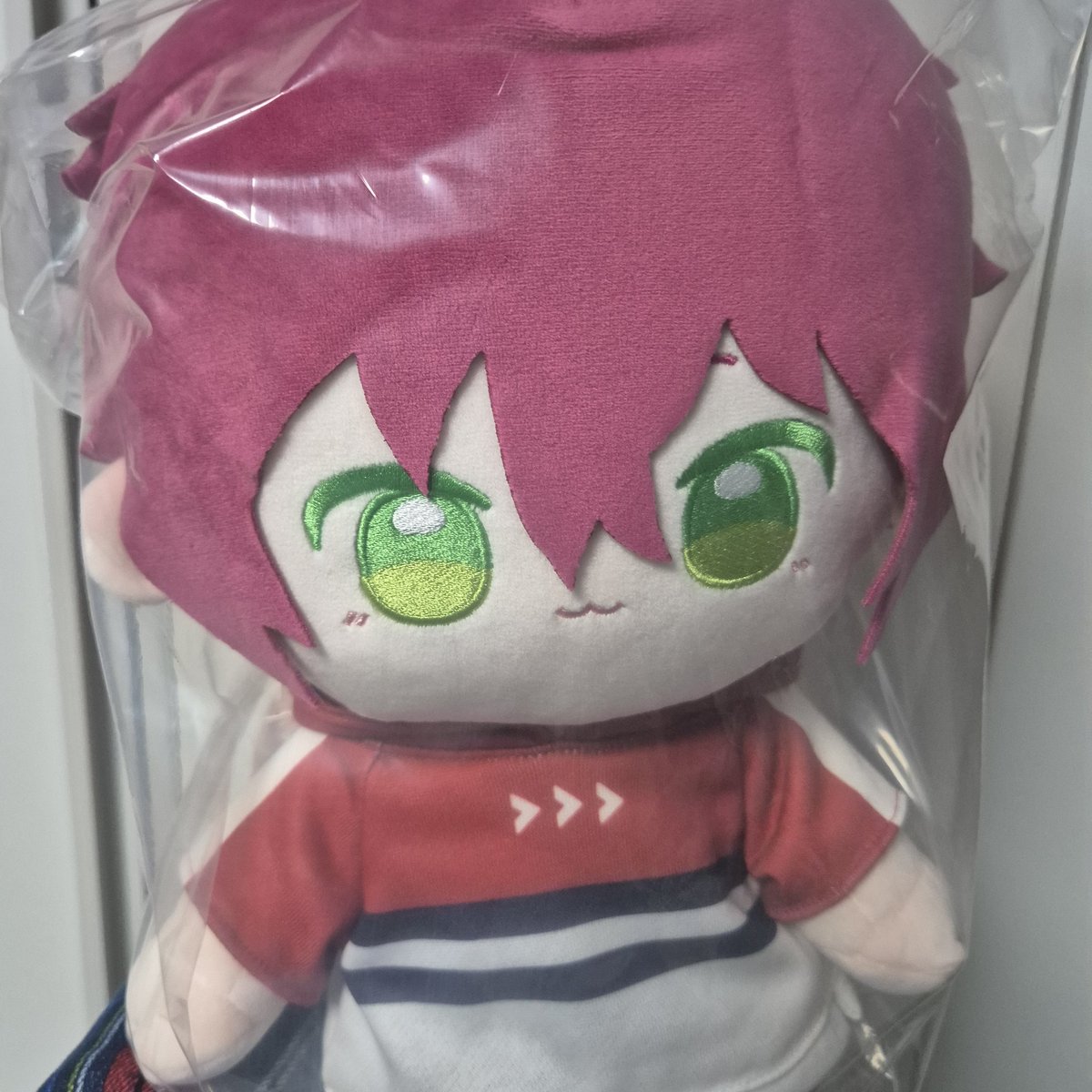 진짜 크다
월세 내라