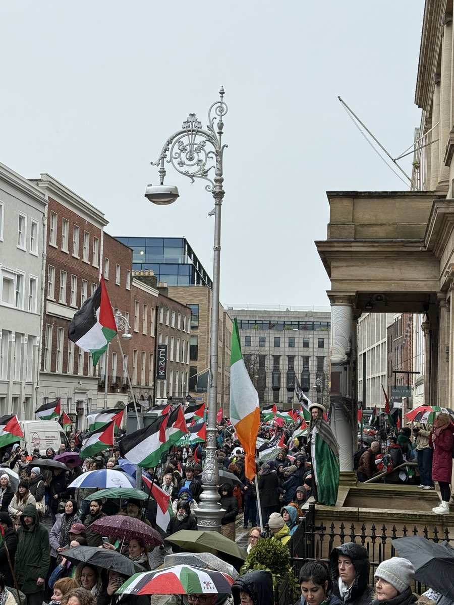 Steve Wall tweet media