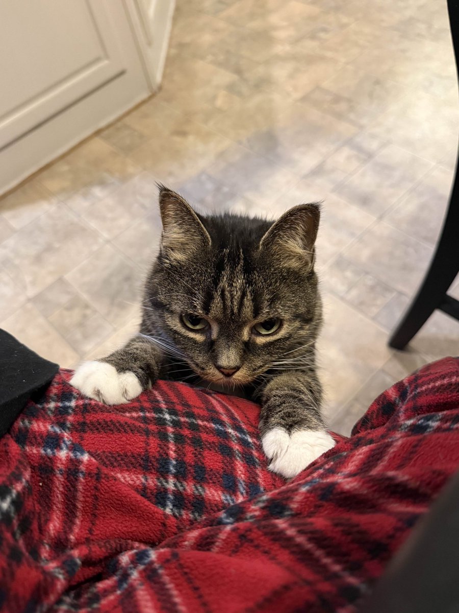 krootzy ☆ nick tweet media