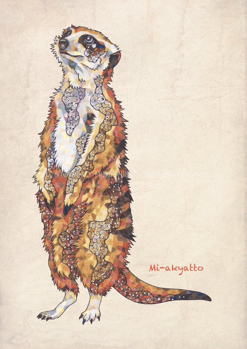 平面水族館図鑑】ミーアキャット【file427】