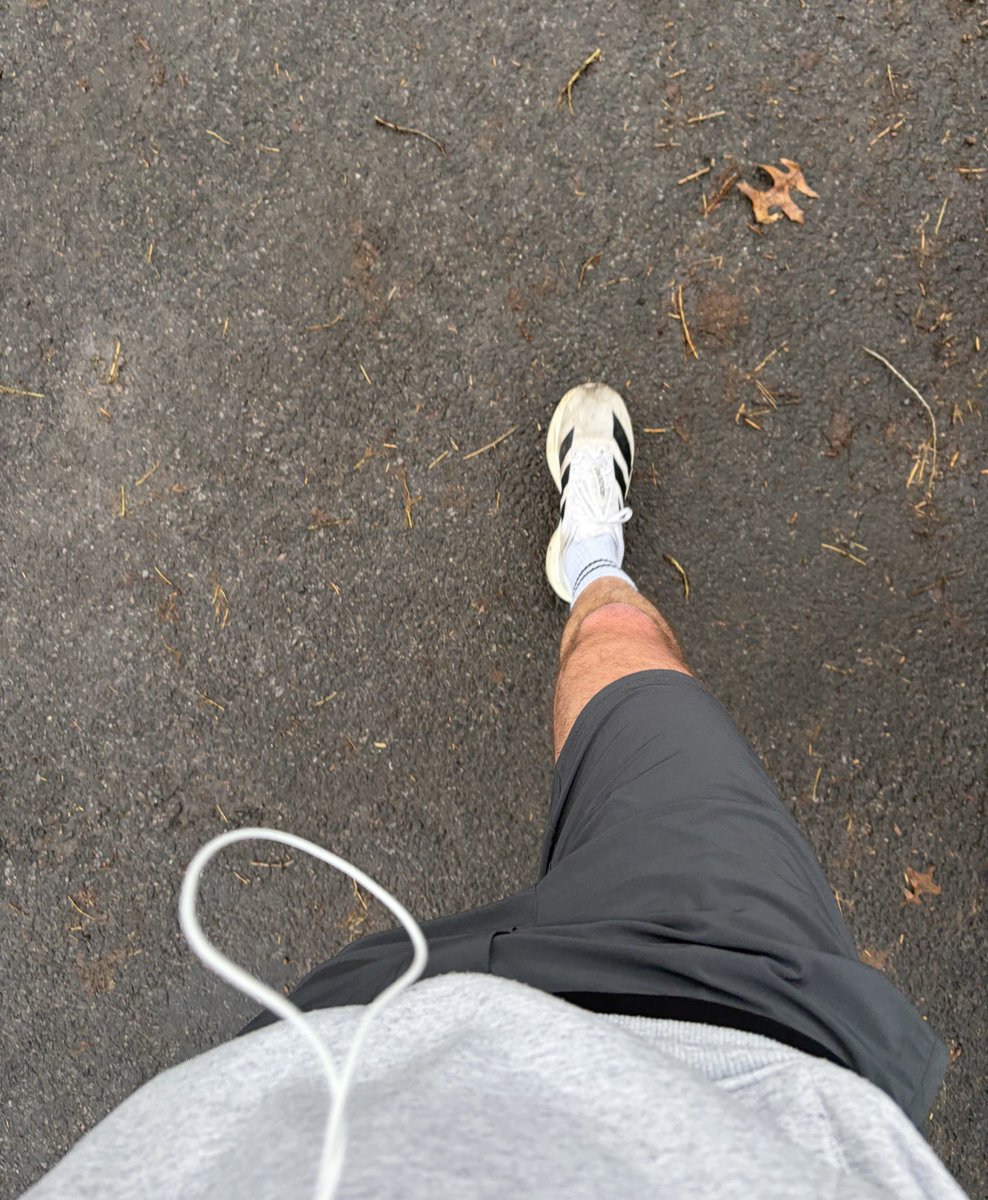 Alex Mamy tweet media