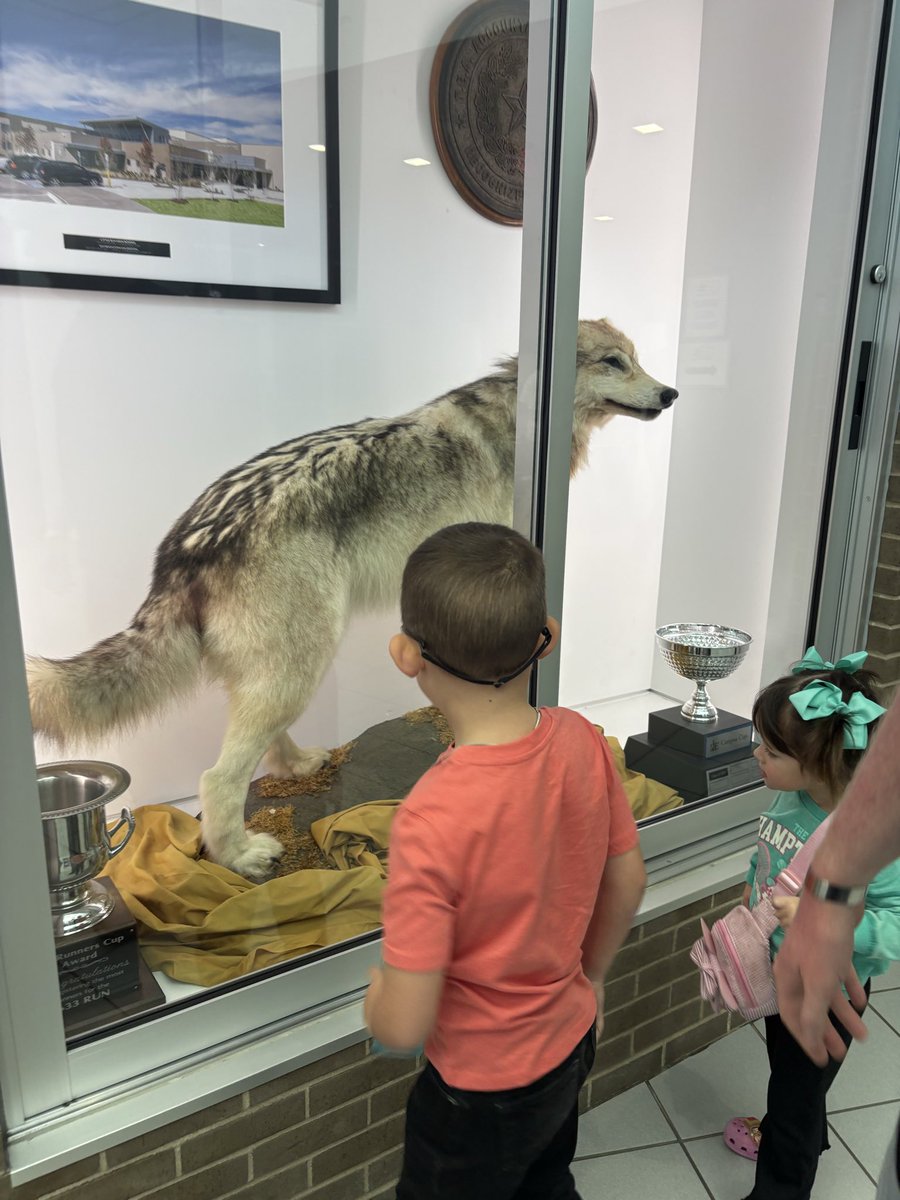 Coach Sosa-Provence tweet media