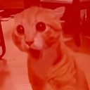 김윤🍸 tweet media