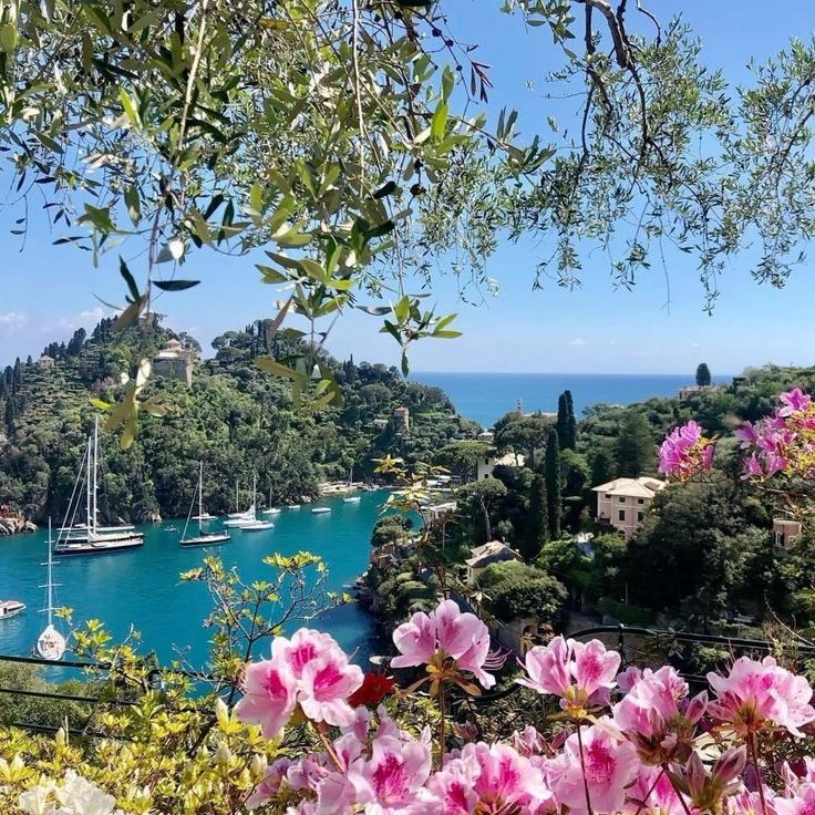 naturaholic's tweet photo. mediterranean summer https://t.co/bD1eNWw9zA