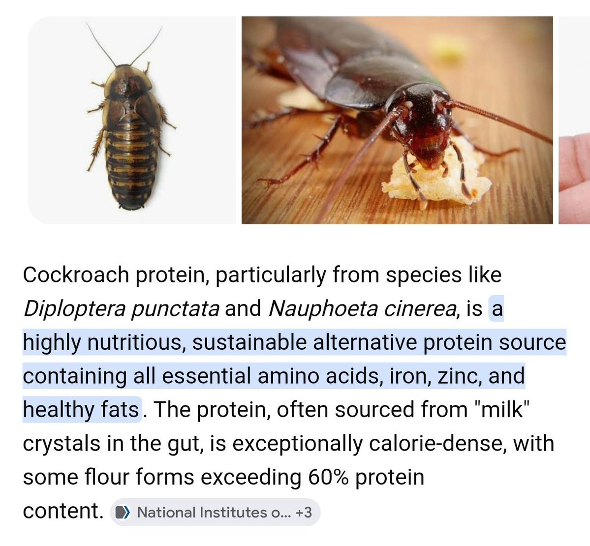 Cockroach also has very high protein besides many other nutrients. 

When are they gonna start eating cockroaches?