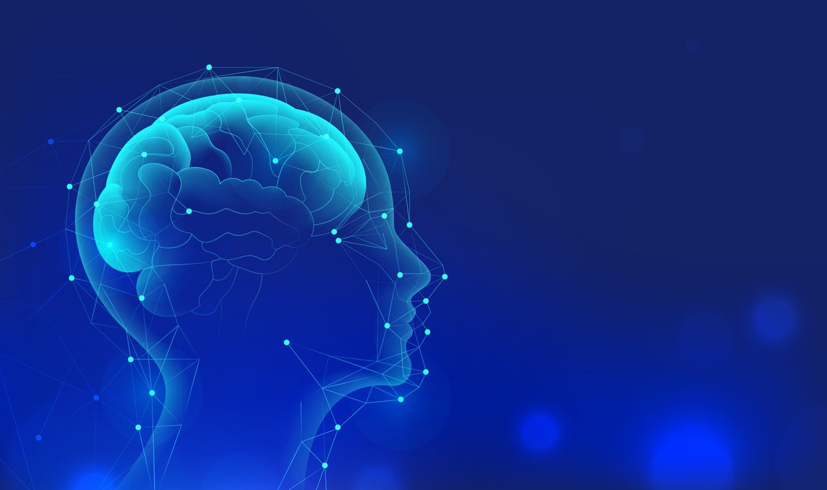 SequenceMd's tweet photo. SequenceMD serves three key groups affected by genetic neurodevelopmental disorders (NDDs): newly diagnosed children and young adults, kids facing long waits for testing, and adults with IDD who’ve never had a genetic evaluation. Learn more here: https://t.co/m3dYCtTIcd

#NDD https://t.co/MYcljK1B5c