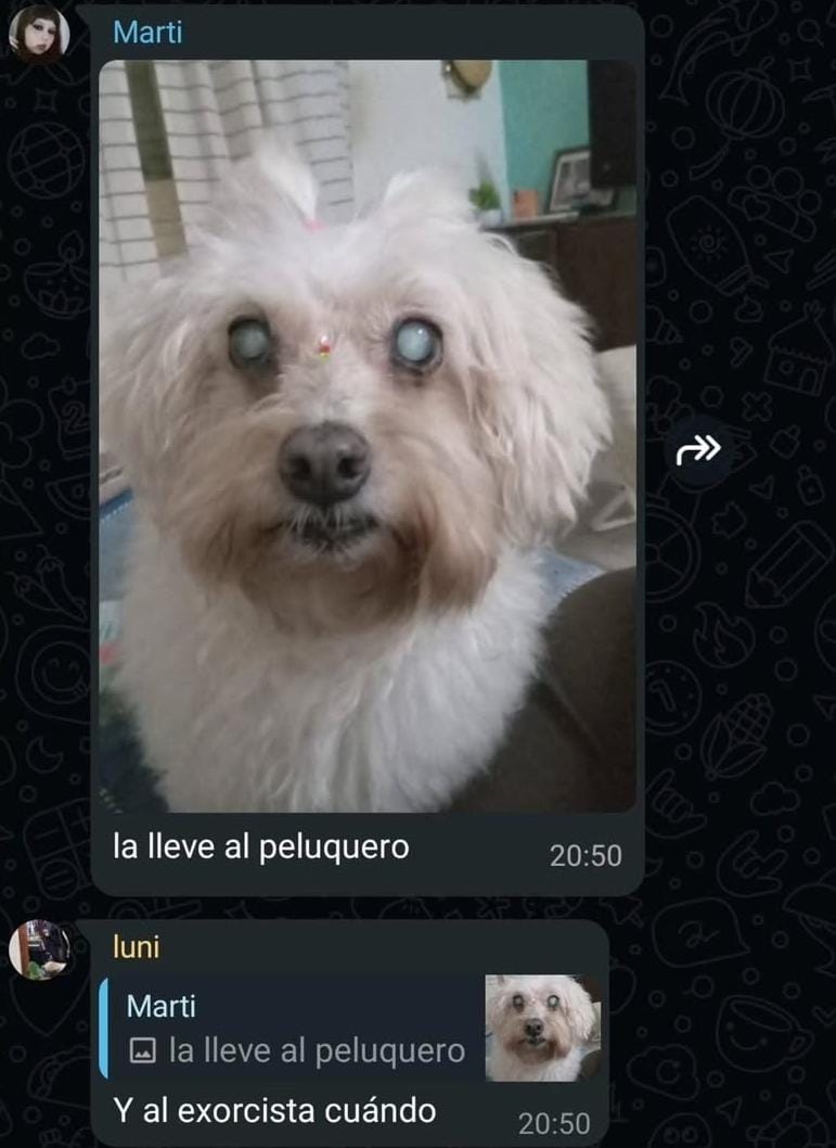 tobiaas (@tobinho566430) on Twitter photo 