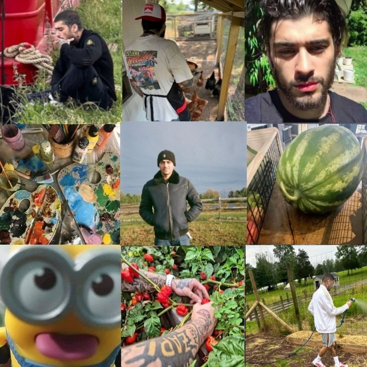 Semaro_Escobar's tweet photo. zayn malik variants https://t.co/Fg1aW7v9EI