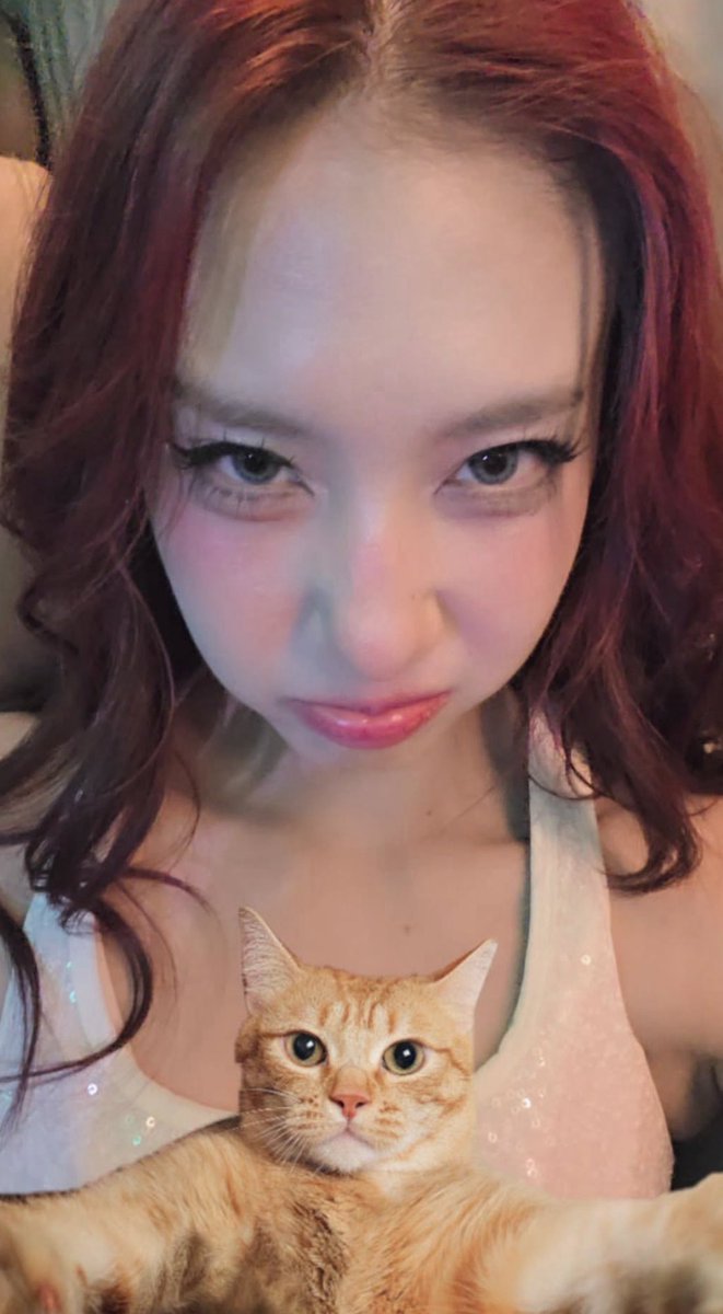 แมวส้มถูกต้องมาก อ้วม กม ดื้อ ติ้กถุกหมดนะ