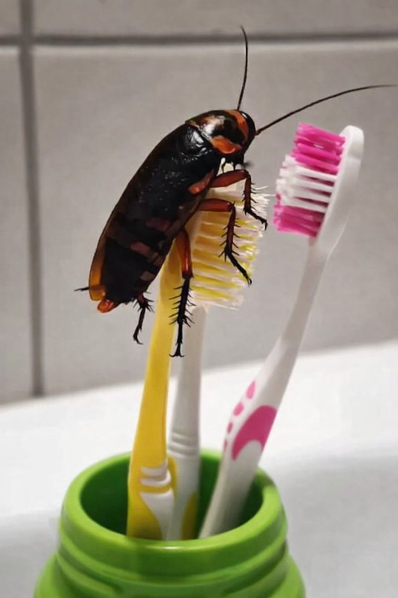 GideonGrowth's tweet image. RT @BrineKays: What will you do next ?