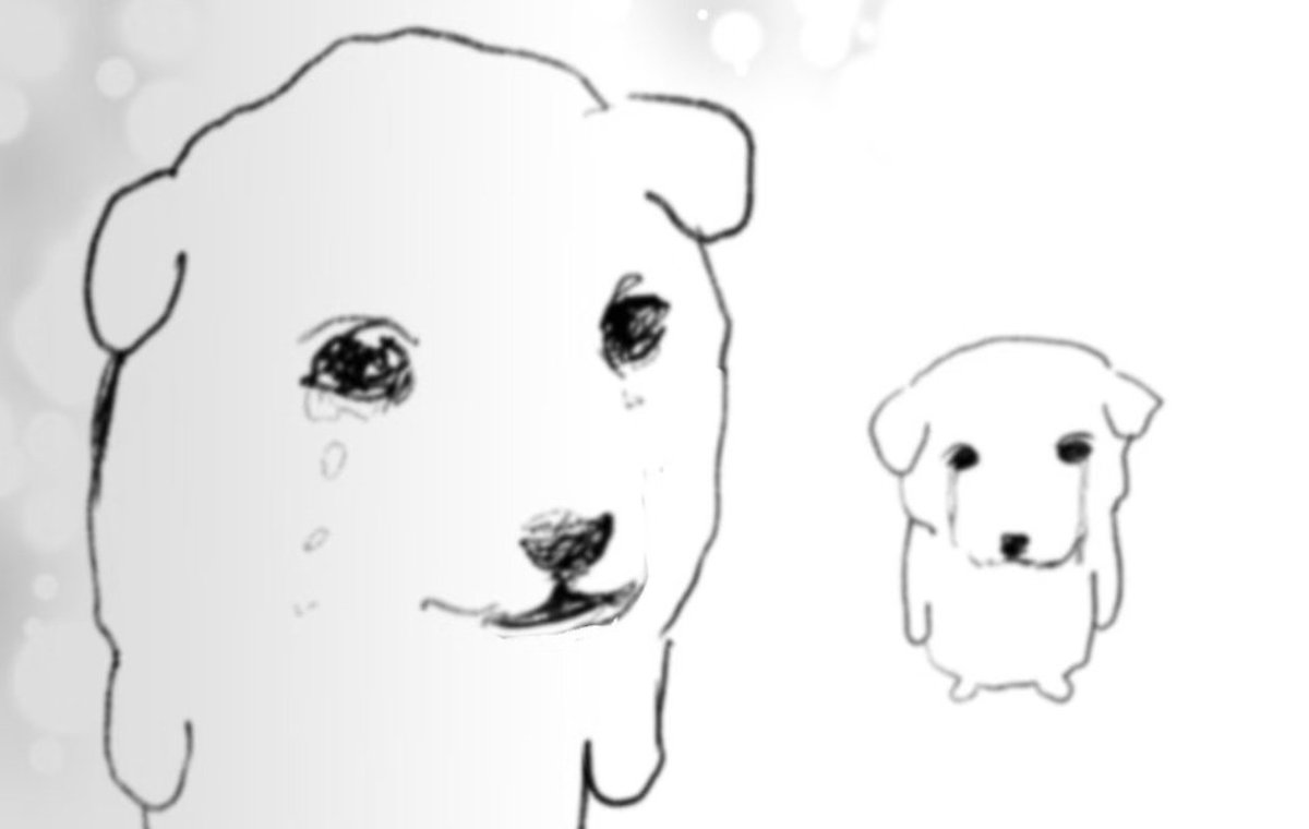 In fact, after I had a friend who became a fool for love, I was able to understand why Raph disliked Karai back then.