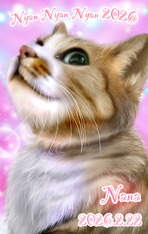 あらきゃわいいいい！！！