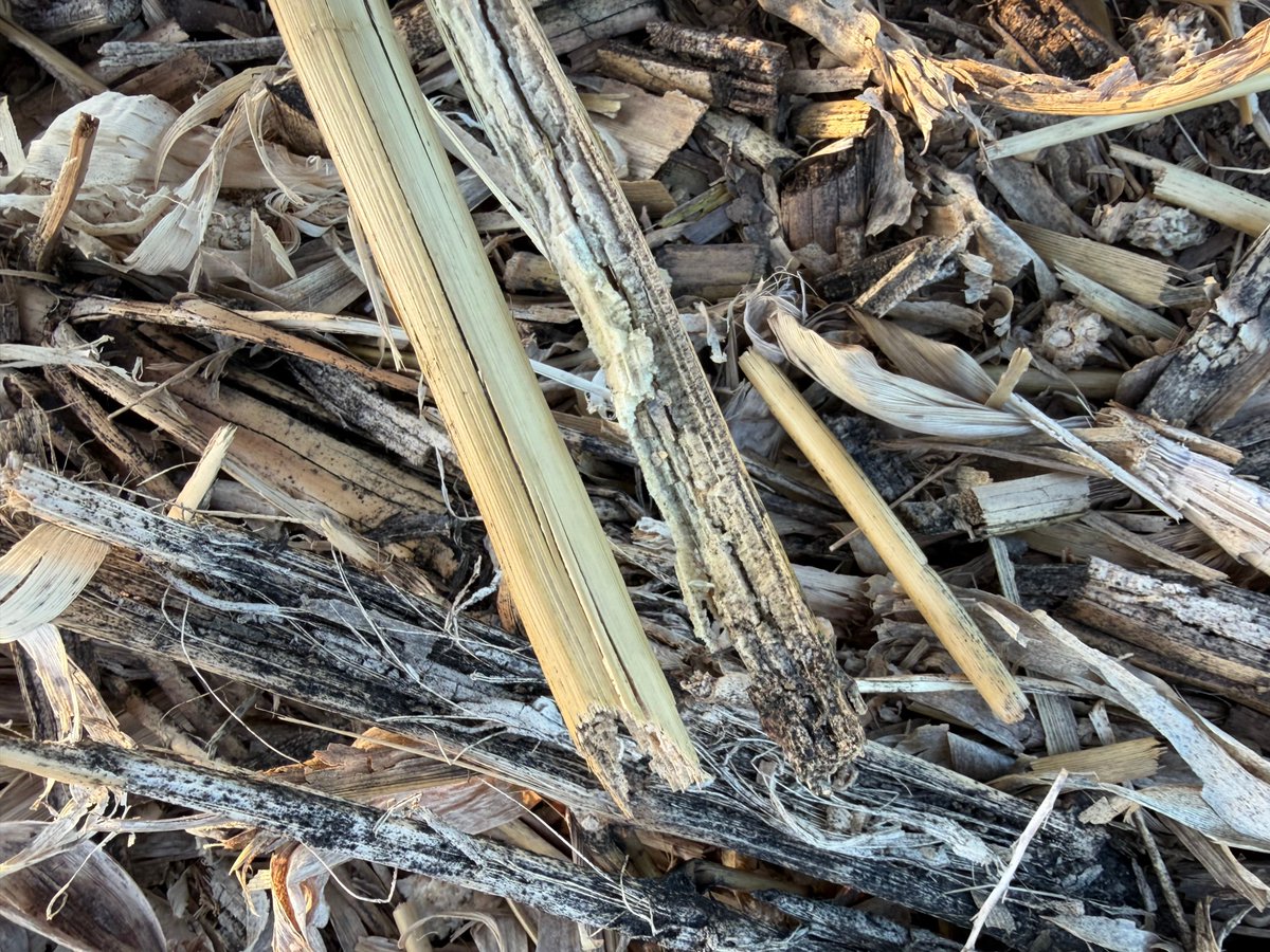 Streamline Ag LLC tweet media