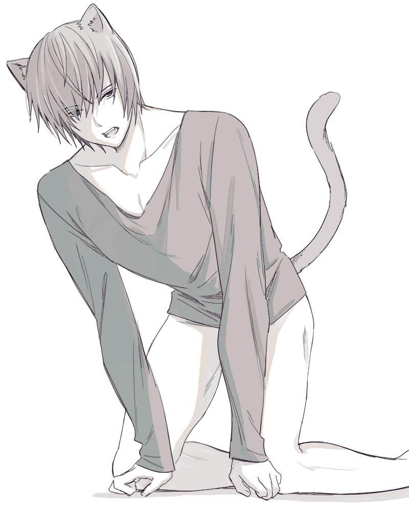 Neko Alliance (@sanhuamao4280) / Posts / X