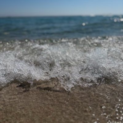 811Brooklyn tweet media