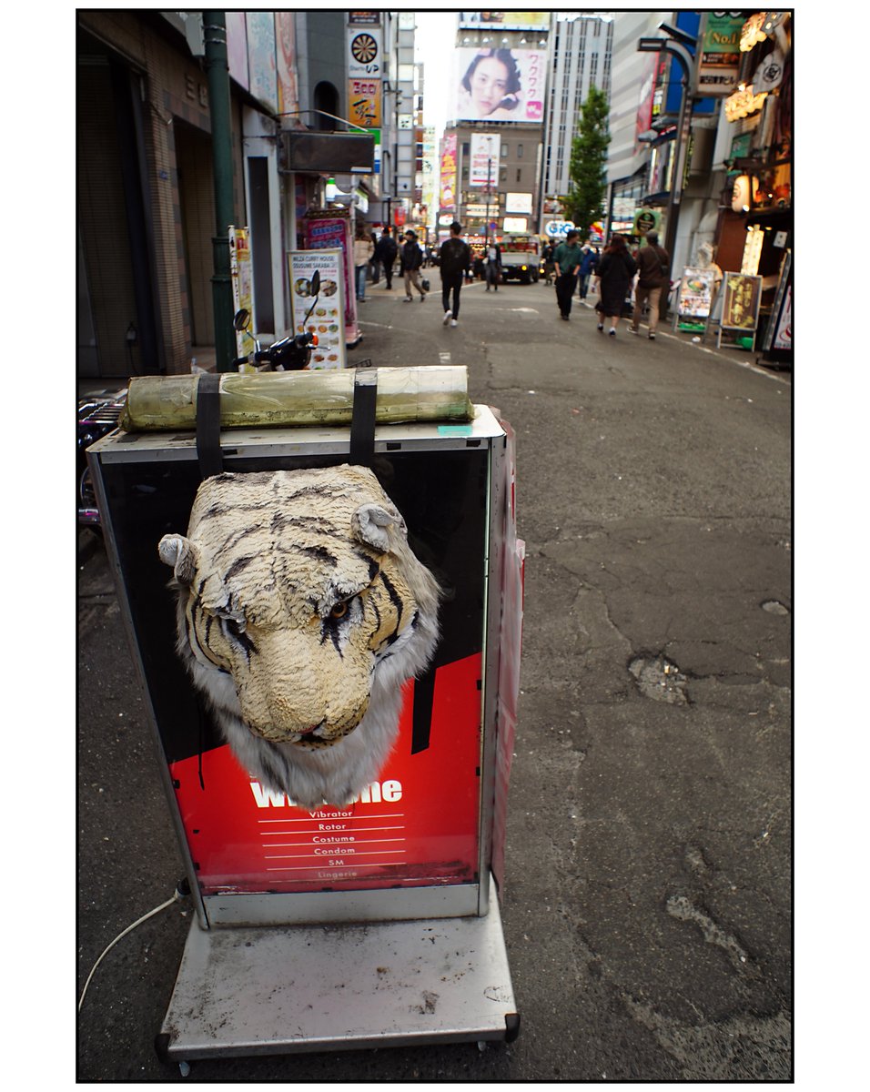 paco_mjp's tweet photo. 2025/11/16 #新宿 #shinjuku #歌舞伎町 #kabukicho #大遊戯場歌舞伎町 #sony #sonyalpha #a7c #pentax #pentaxgram #takumar #smctakumar #20mm #street #streetsnap #streetphotography #road #roadside #roadsidephotography #theworldisee https://t.co/pgxnFW2EOU