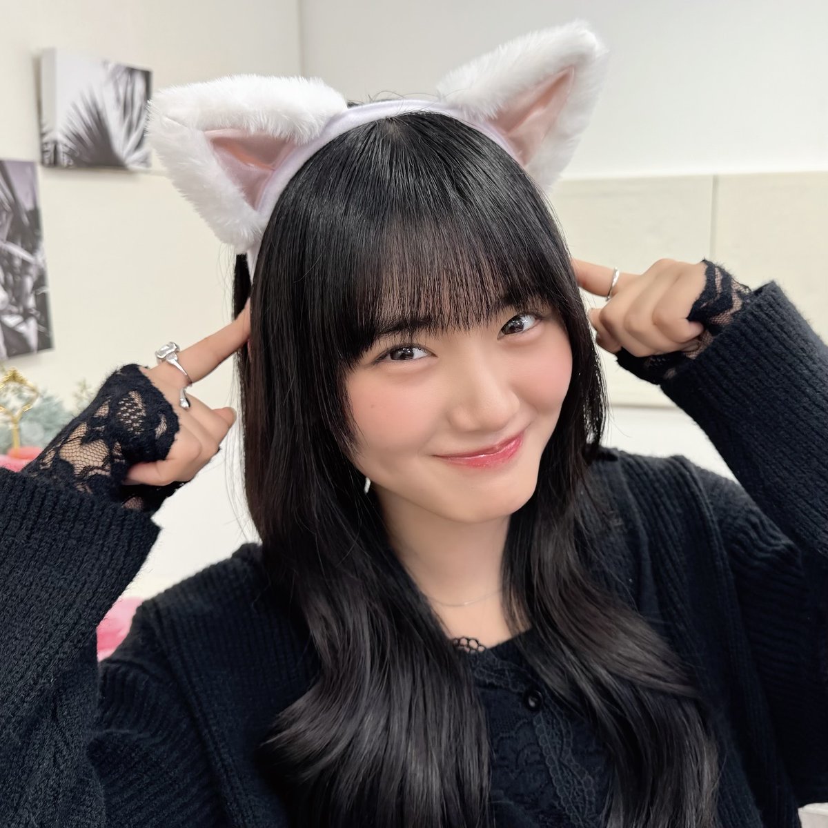 てん猫可愛すぎる〜！🌸🌸🌸 #猫の日 ショット！ ありがとうございます