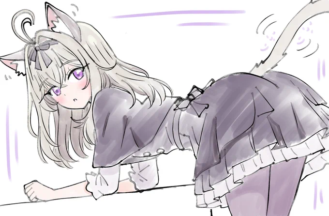 #猫の日