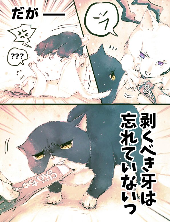 鳳(ホウ) tweet media