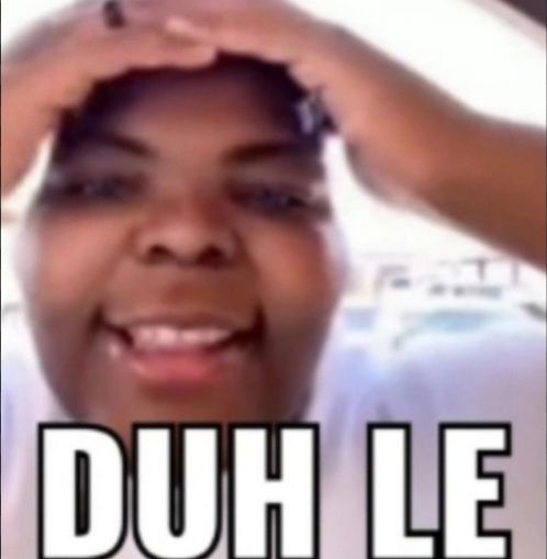 situasi terkini gue menjadi orang yang stan zb1 dan ald1 secara bersamaan: