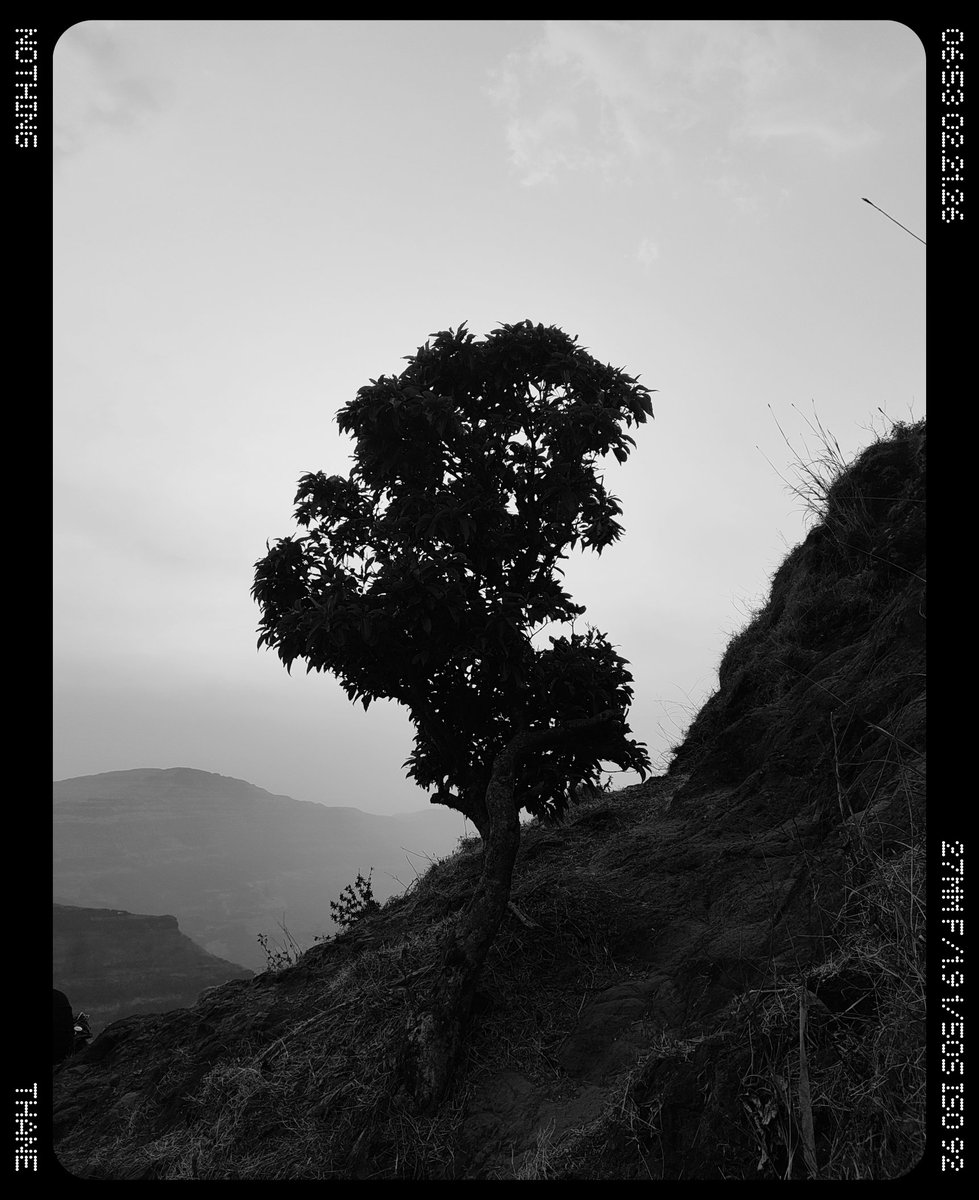 cartoon5091's tweet image. 📍 Harishchandra Gadd