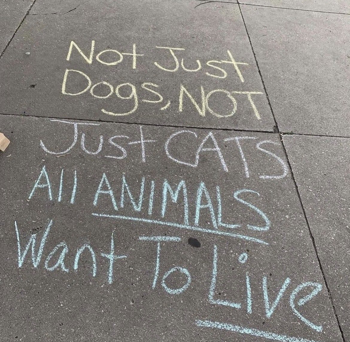 NothingIsArt tweet media