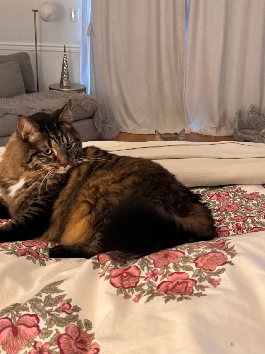 Lou Diamond Phillips tweet media